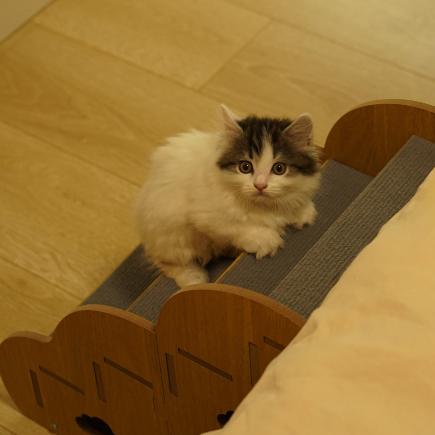 Wooden Cat Stairs – Safe & Stylish Step Support for Cats by CATATI SELECTED - Default Title - Furniture - Catati