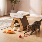 Indoor Cat Enrichment Bundle – Scratch, Chase & Lounge