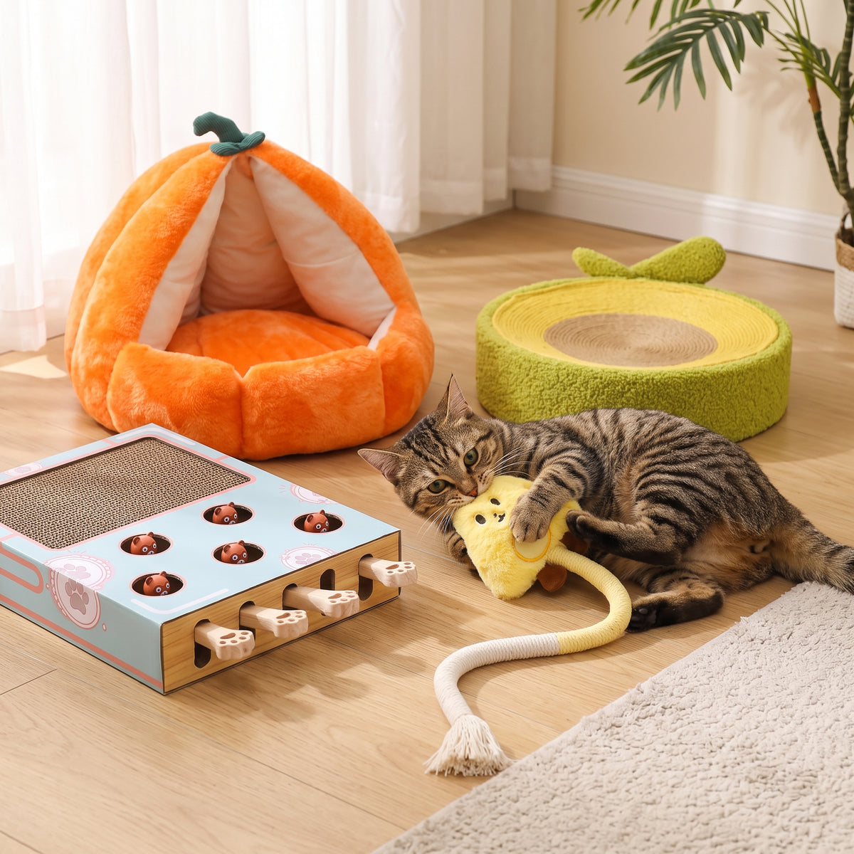 Scratch & Snooze Cat Bundle – Beds, Scratchers & Play