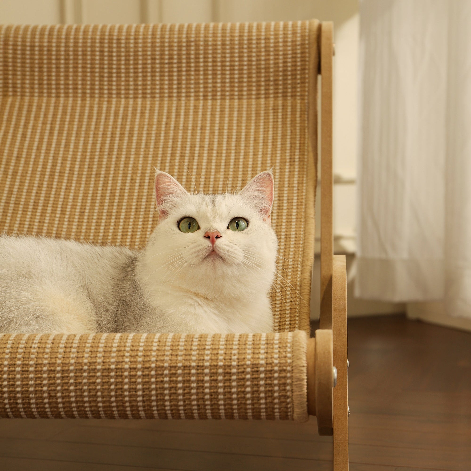 Natural Wood Cat Lounge Chair – Ergonomic & Stylish Comfort by CATATI SELECTED - Default Title - Furniture - Catati