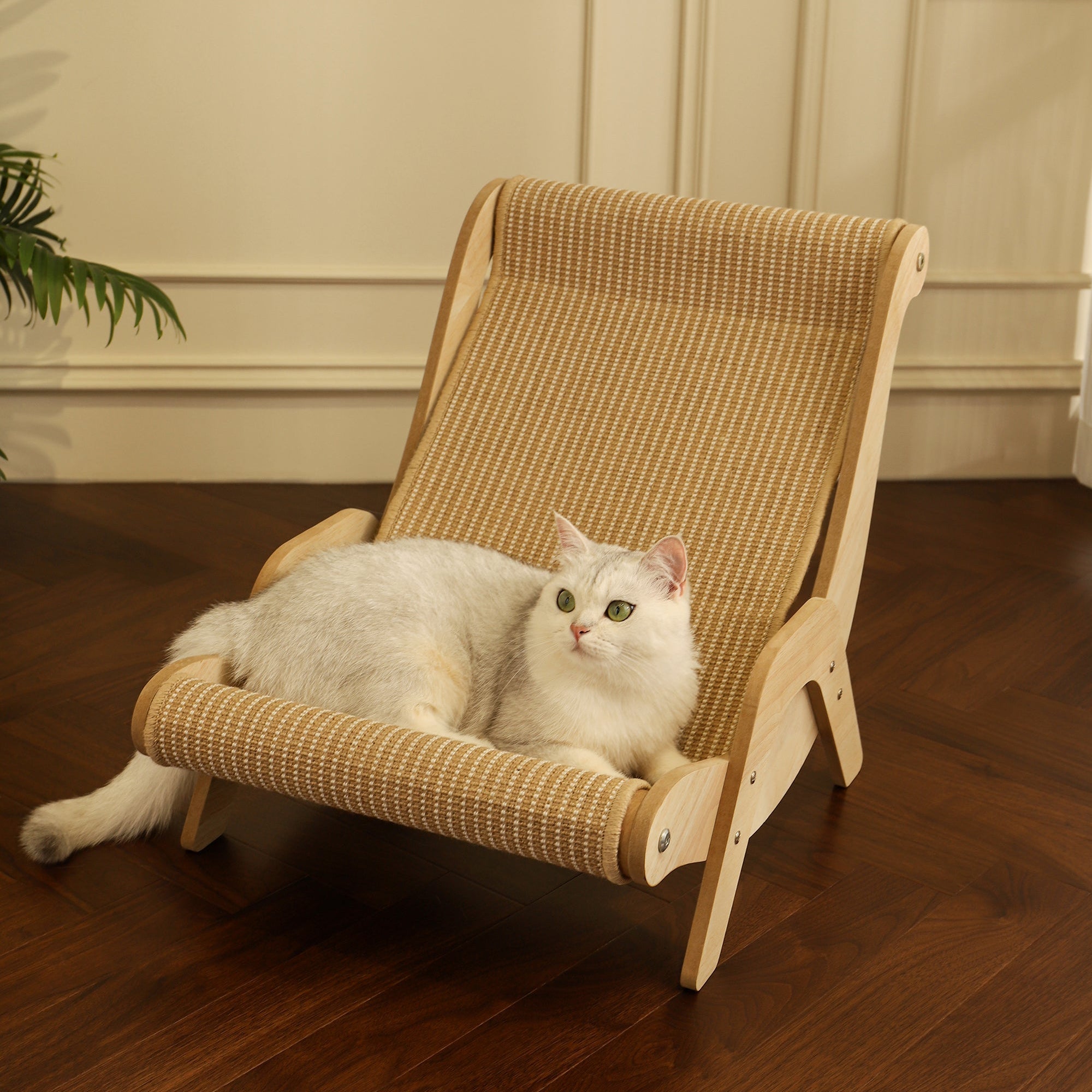 Natural Wood Cat Lounge Chair – Ergonomic & Stylish Comfort by CATATI SELECTED - Default Title - Furniture - Catati