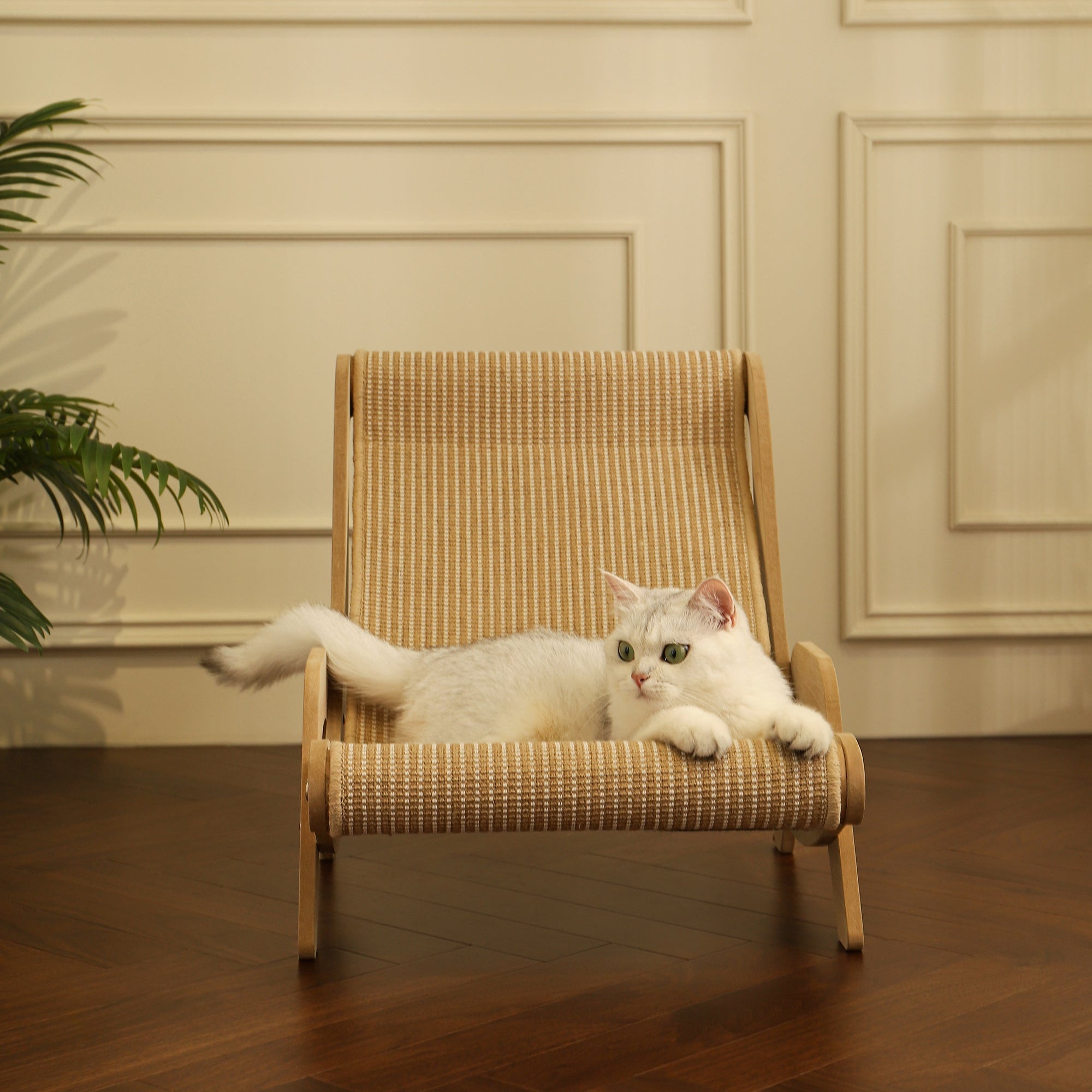 Natural Wood Cat Lounge Chair – Ergonomic & Stylish Comfort by CATATI SELECTED - Default Title - Furniture - Catati