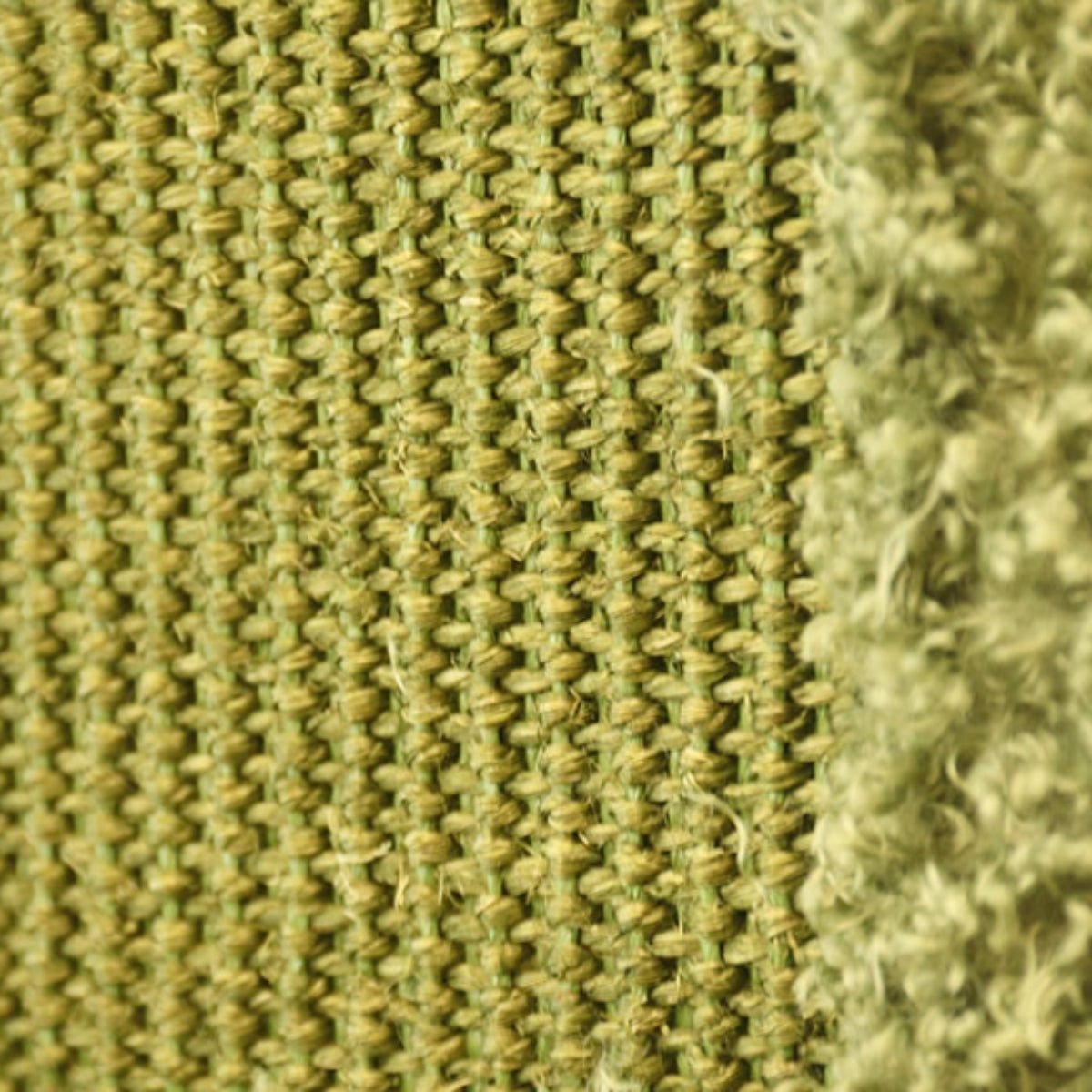 Monster Cactus Cat Tower – Playful Scratcher for NZ Cats by TOLEA - Default Title - Furniture - Catati