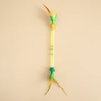 Elastic Feather Cat Teaser Toy – Bite-Resistant & Stretchable