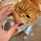 Cat Whisker Holder Keychain – Glass Keepsake Charm (3 Styles) by CATATI SELECTED - Orange - Other - Catati