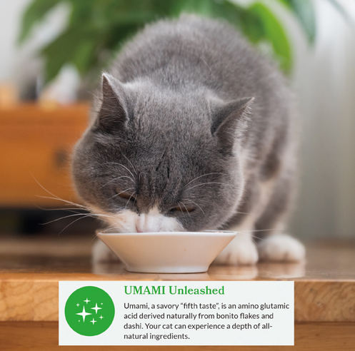 Inaba Chicken Dashi Delights – Hydrating Umami Cat Topper by INABA - 70g - Food - Catati