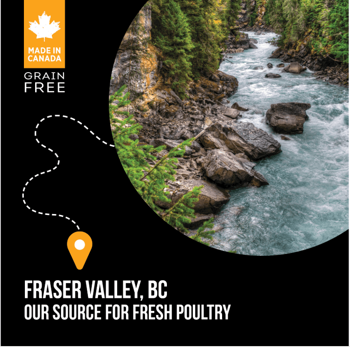 Nutrience SubZero Fraser Valley Dry Cat Food