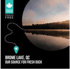 Nutrience SubZero LID Duck & Pear