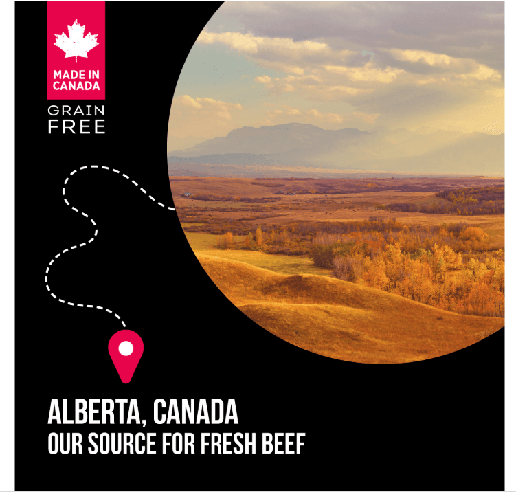 Nutrience SubZero Prairie Red – Cat