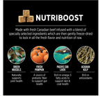 Nutrience SubZero Prairie Red – Cat