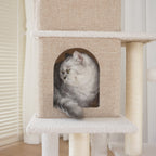 Multi-Level Cat Tree NZ – 140cm Condo Tower with Scratching Posts