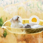 BearPod Cat Window Perch by CATATI SELECTED - Default Title - Furniture - Catati