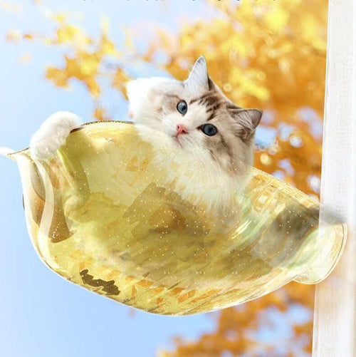BearPod Cat Window Perch - Default Title - Furniture - Catati Cat Store