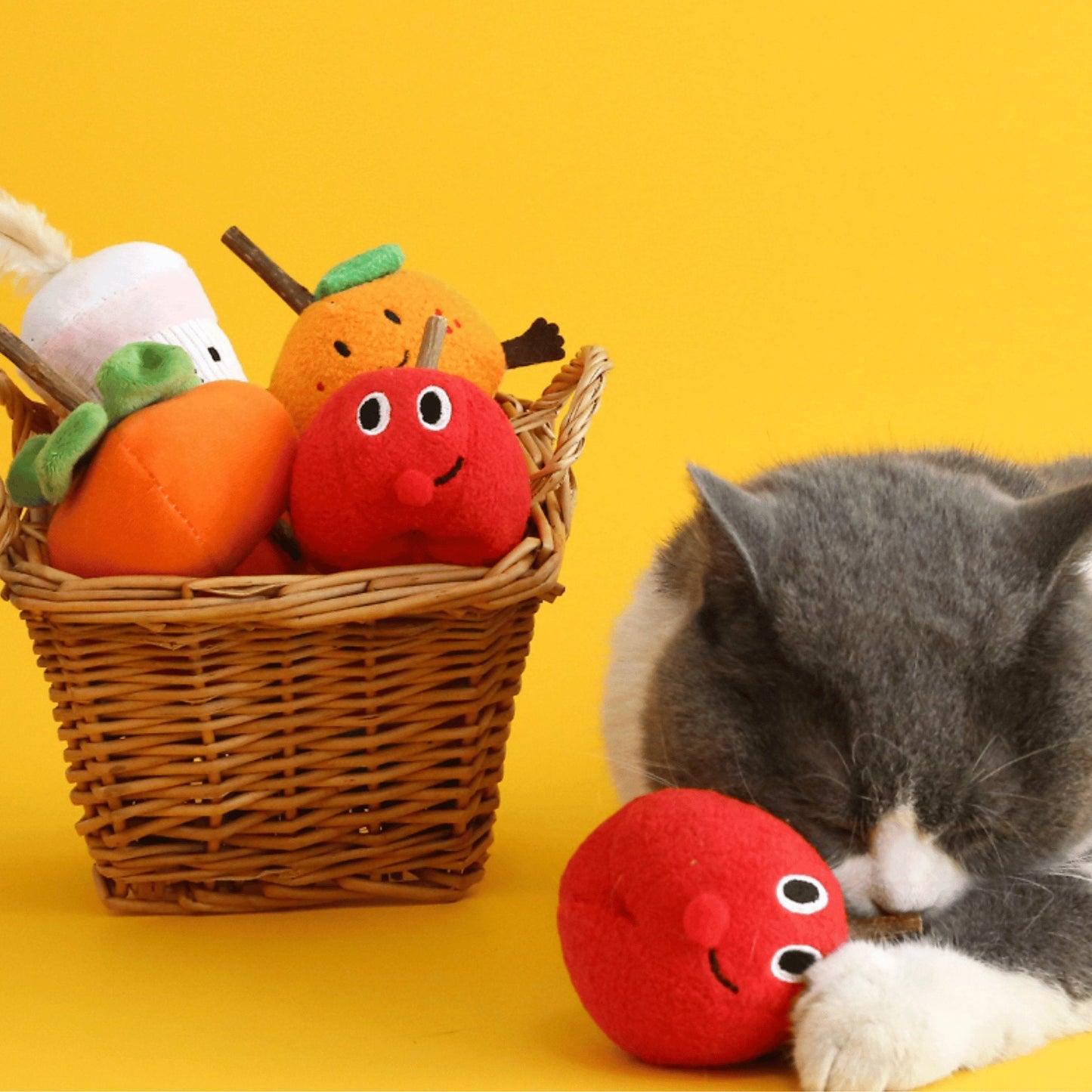 Biting Dental Care Cat Toy - catati - nz - cat - products - online