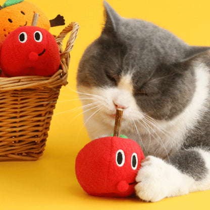 Biting Dental Care Cat Toy - catati - nz - cat - products - online