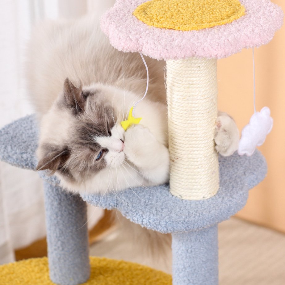 Blue Star and Moon Cat Tree - catati - nz - cat - products - online