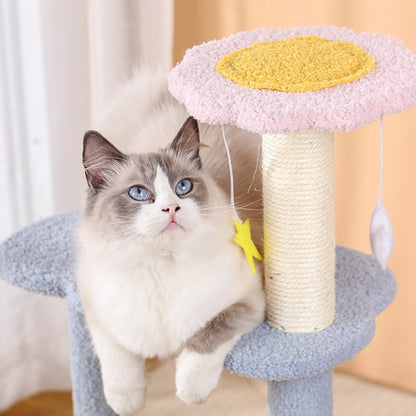 Blue Star and Moon Cat Tree - catati - nz - cat - products - online