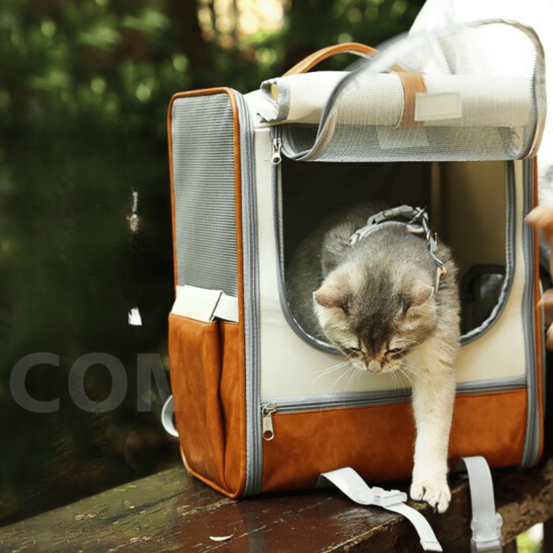 Breathable Cat Travel Carrier Backpack by CATATI SELECTED - Blue - Accessories - Catati