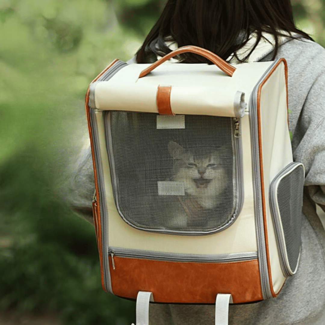 Breathable Cat Travel Carrier Backpack by CATATI SELECTED - Blue - Accessories - Catati