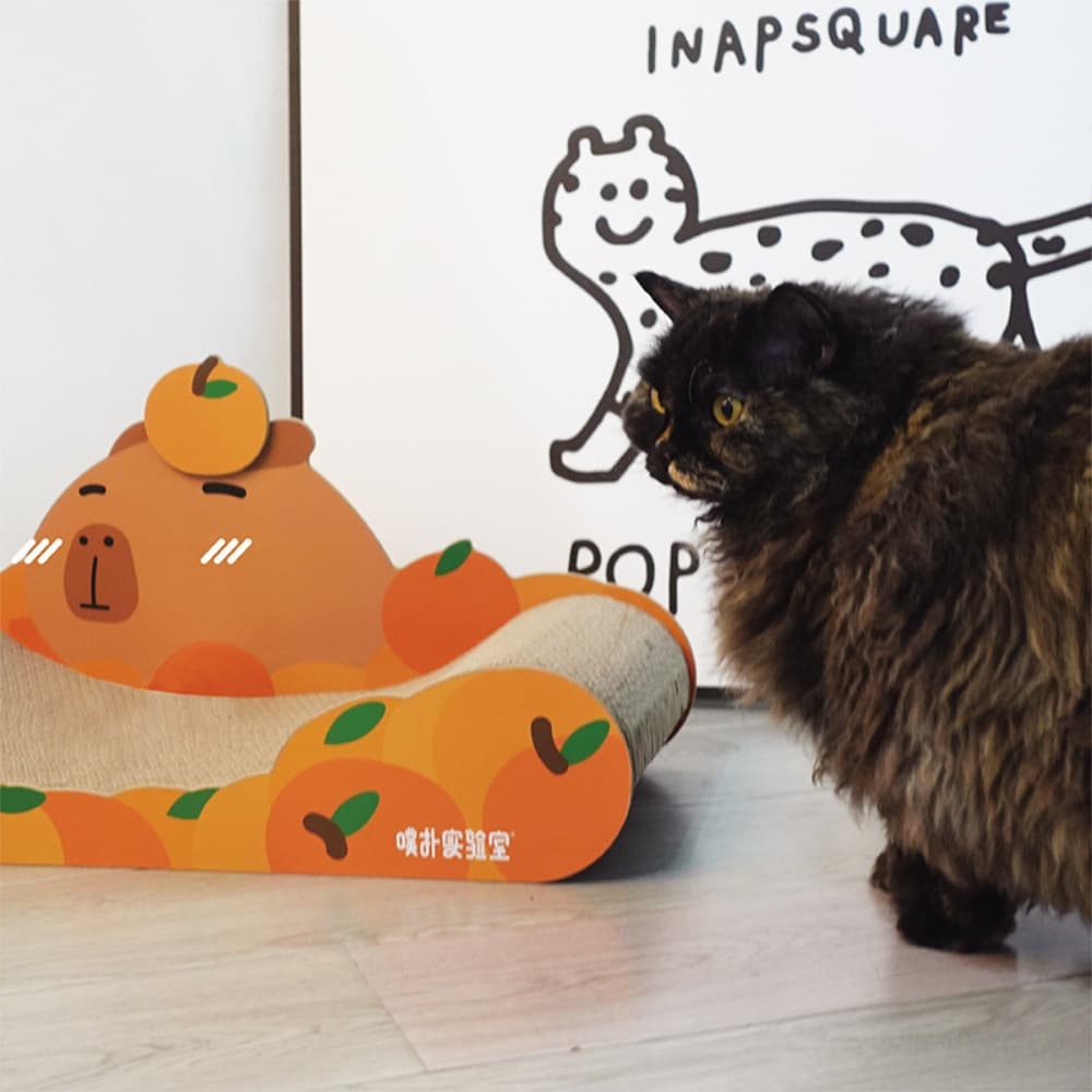 Capybara Cat Scratching Board - catati - nz - cat - products - online