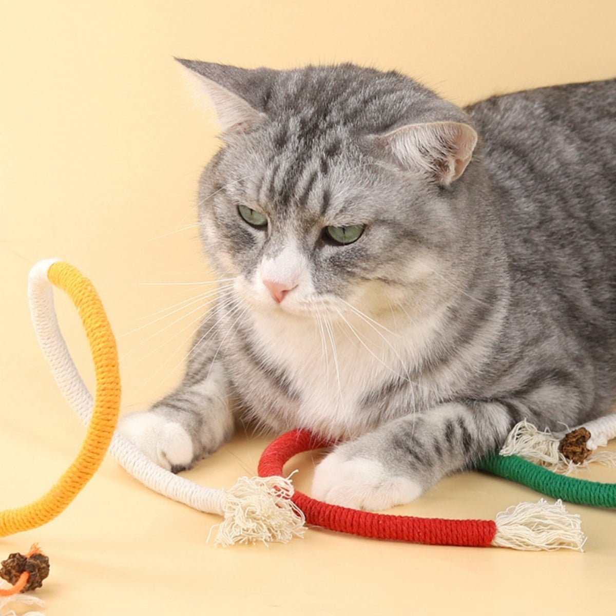 Cat Biting Rope with Catnip & Dental Benefits - catati - nz - cat - products - online