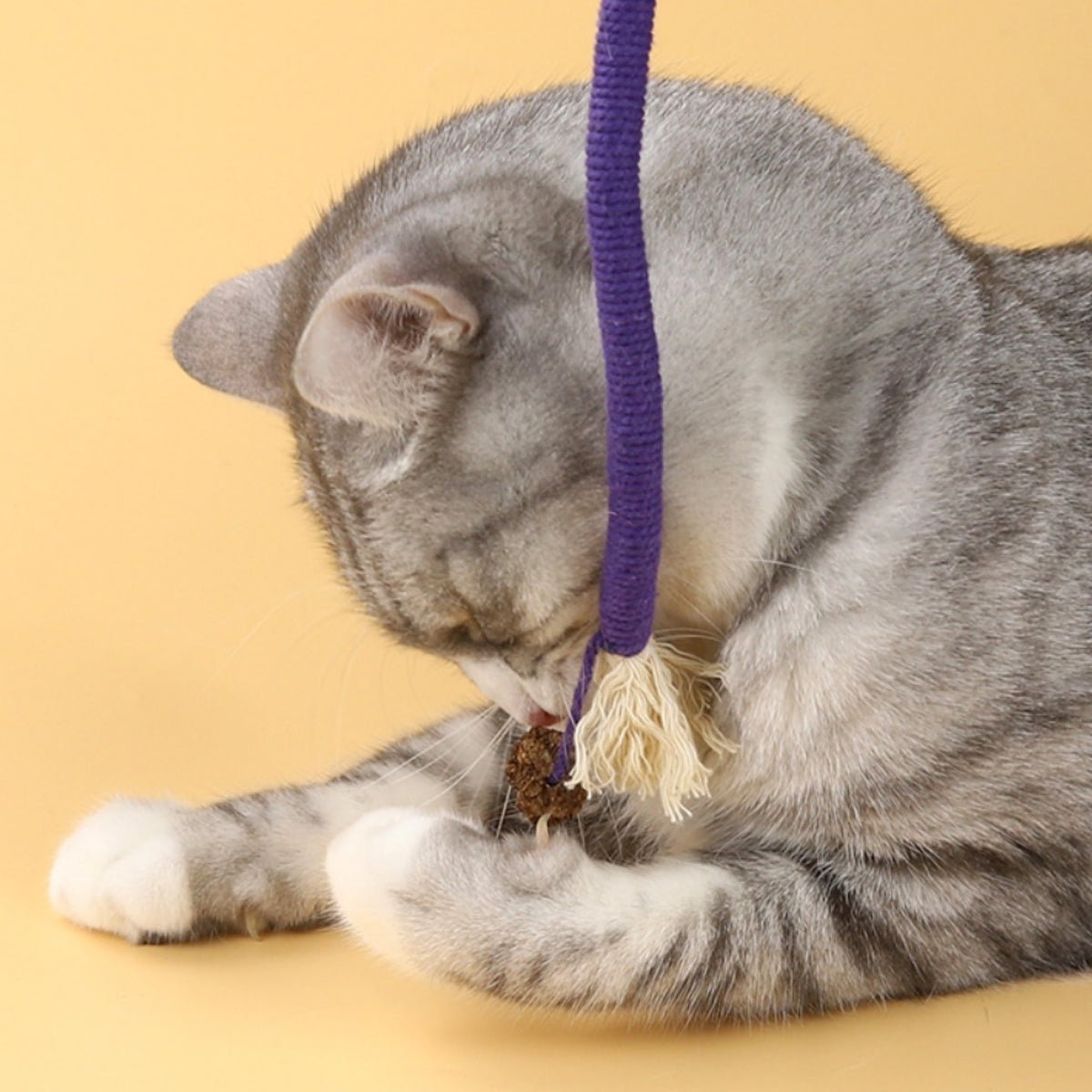 Cat Biting Rope with Catnip & Dental Benefits - catati - nz - cat - products - online