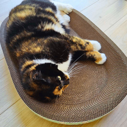 Cat Scratching Bed - catati - nz - cat - products - online