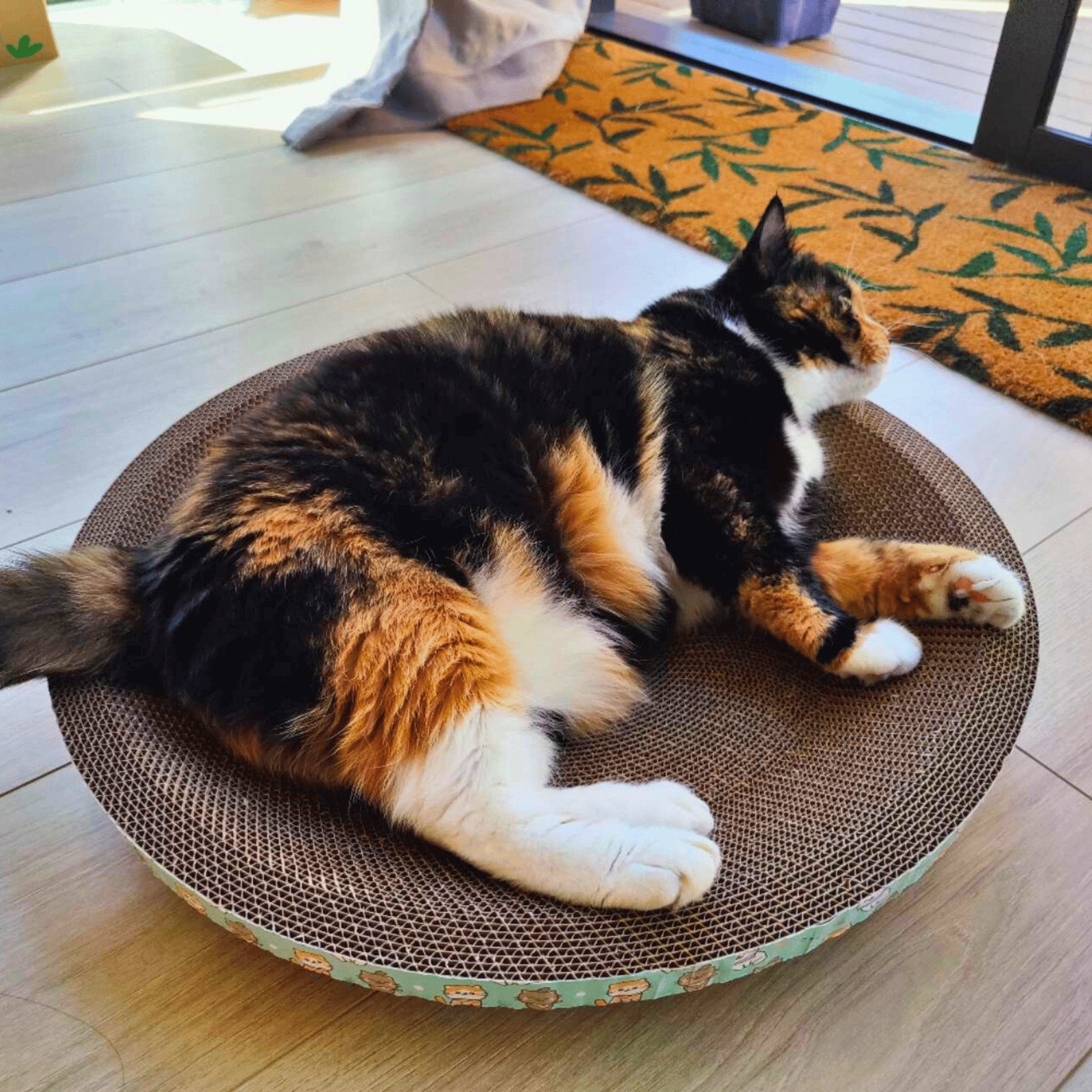 Cat Scratching Bed - catati - nz - cat - products - online