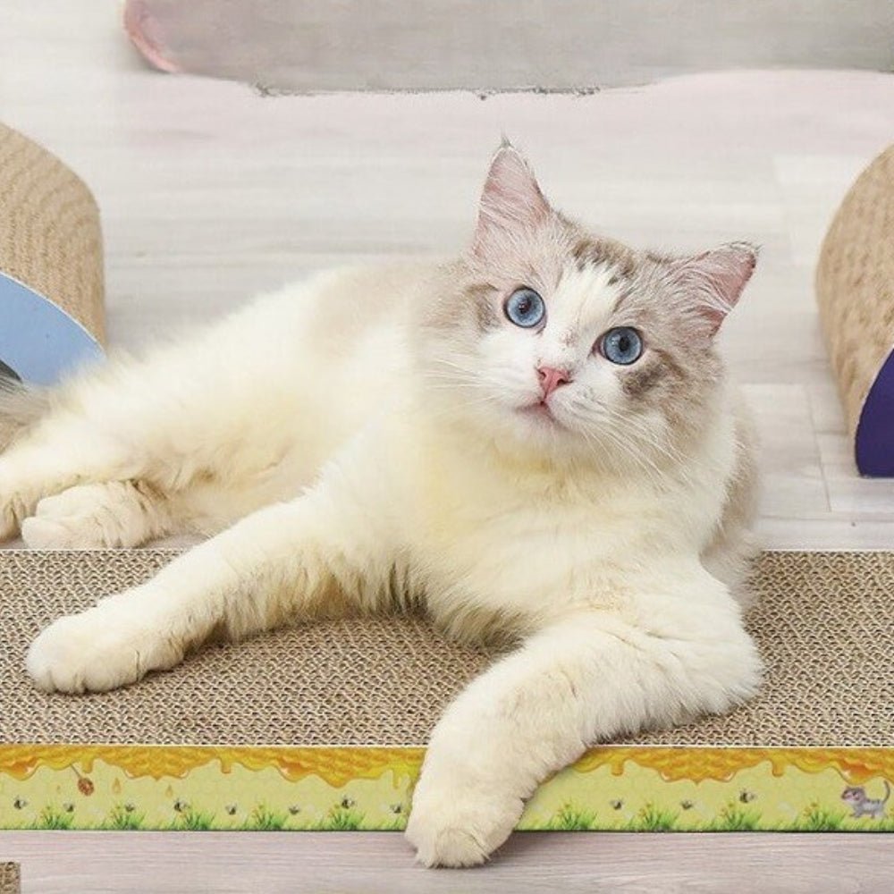Cat Scratching Board by CATATI SELECTED - Flat - Toy - Catati