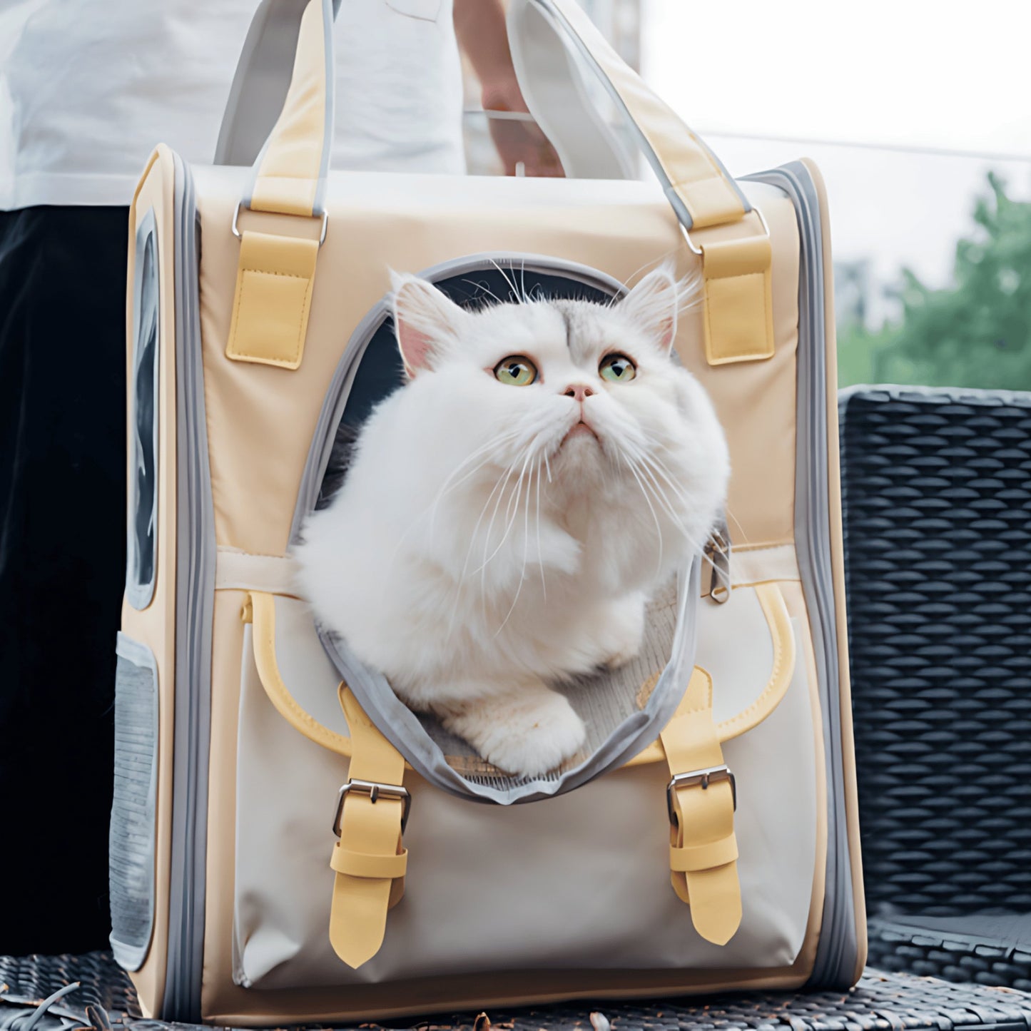 Cat Travel Backpack - catati - nz - cat - products - online