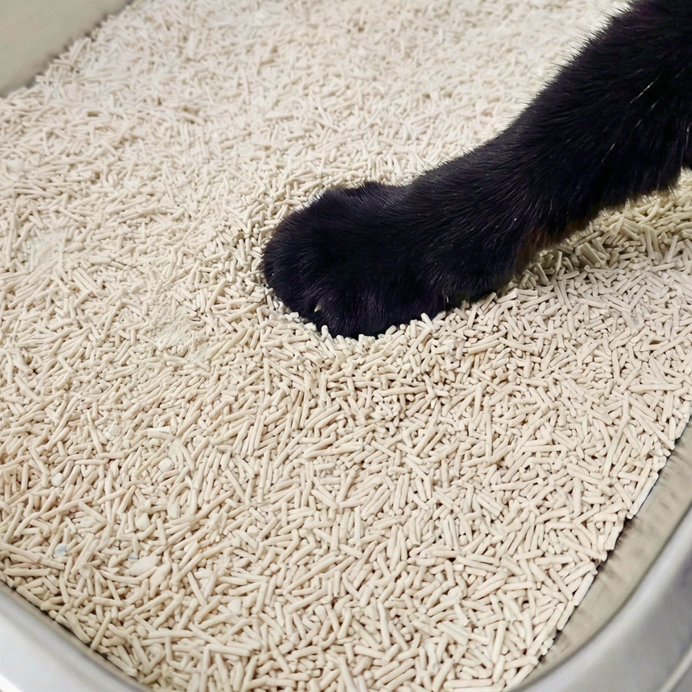 Tofu & Tapioca (Cassava) Cat Litter - Natural, Clumping and Flushable