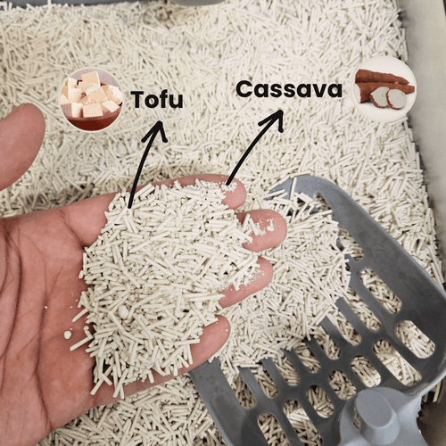 Hand showing the tofu and cassava pellet blend in Catati Tofu & Tapioca Cat Litter