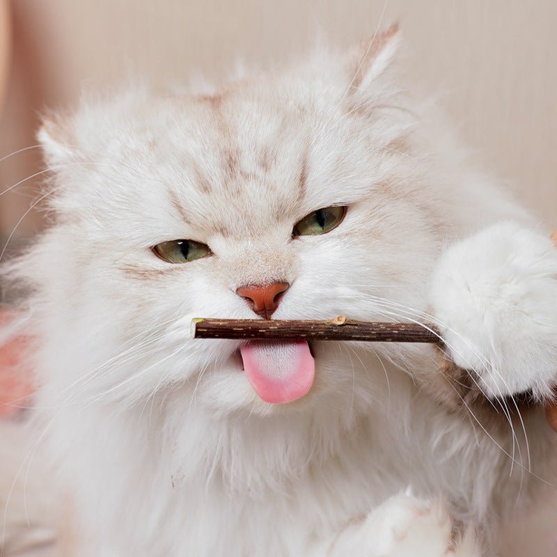 Catnip Chew Sticks for Cats - catati - nz - cat - products - online