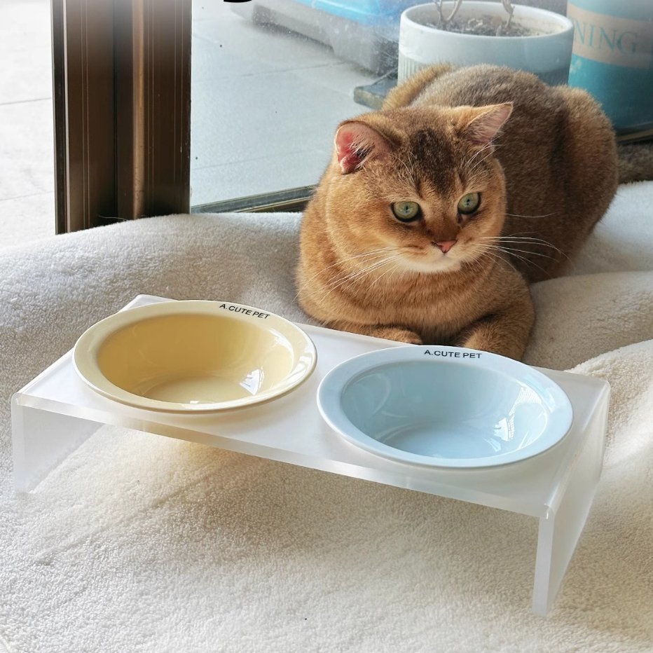 Ceramic Cat Bowl with Elevated Acrylic Stand - catati - nz - cat - products - online