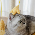 "Chicky" Cat Bed & Scratching Post by TOLEA - Default Title - Furniture - Catati