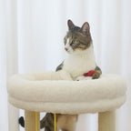 "Chicky" Cat Bed & Scratching Post by TOLEA - Default Title - Furniture - Catati