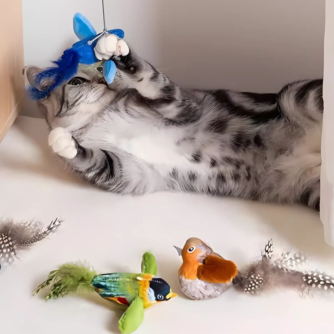 Chirpy Sparrow Cat Toy by CATATI SELECTED - Brown - Toy - Catati