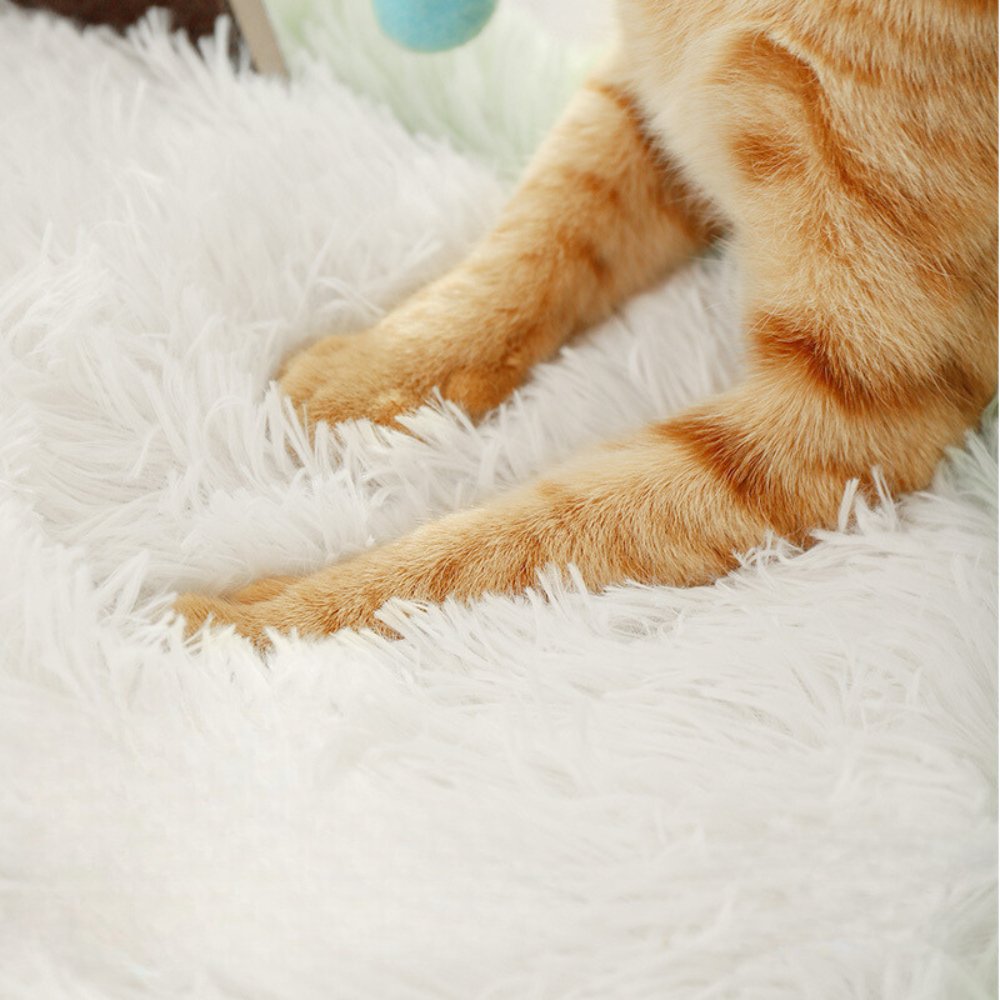 Coconut Tree Plush Cat Bed - catati - nz - cat - products - online