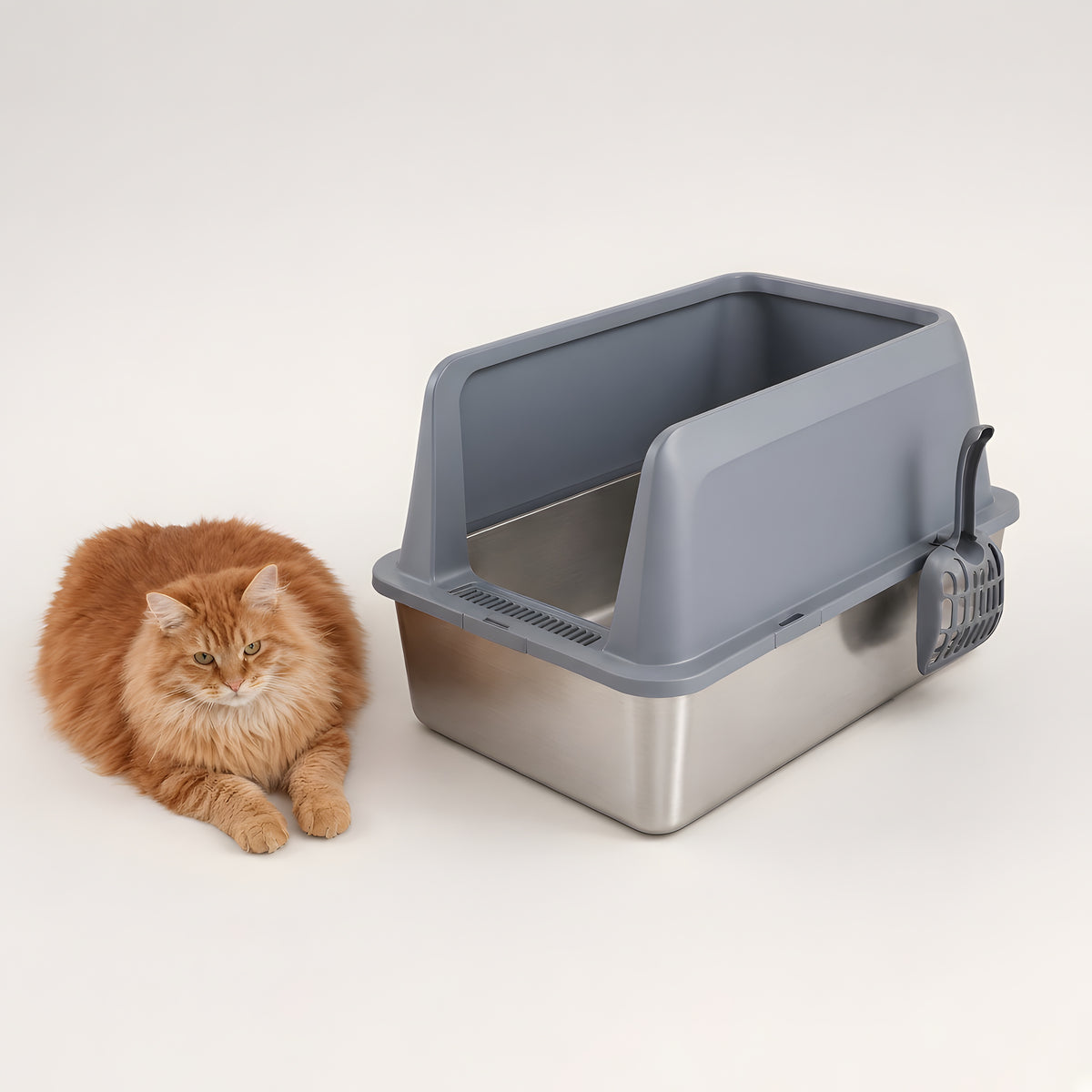 Deep Stainless — scale with cat on cubby floor