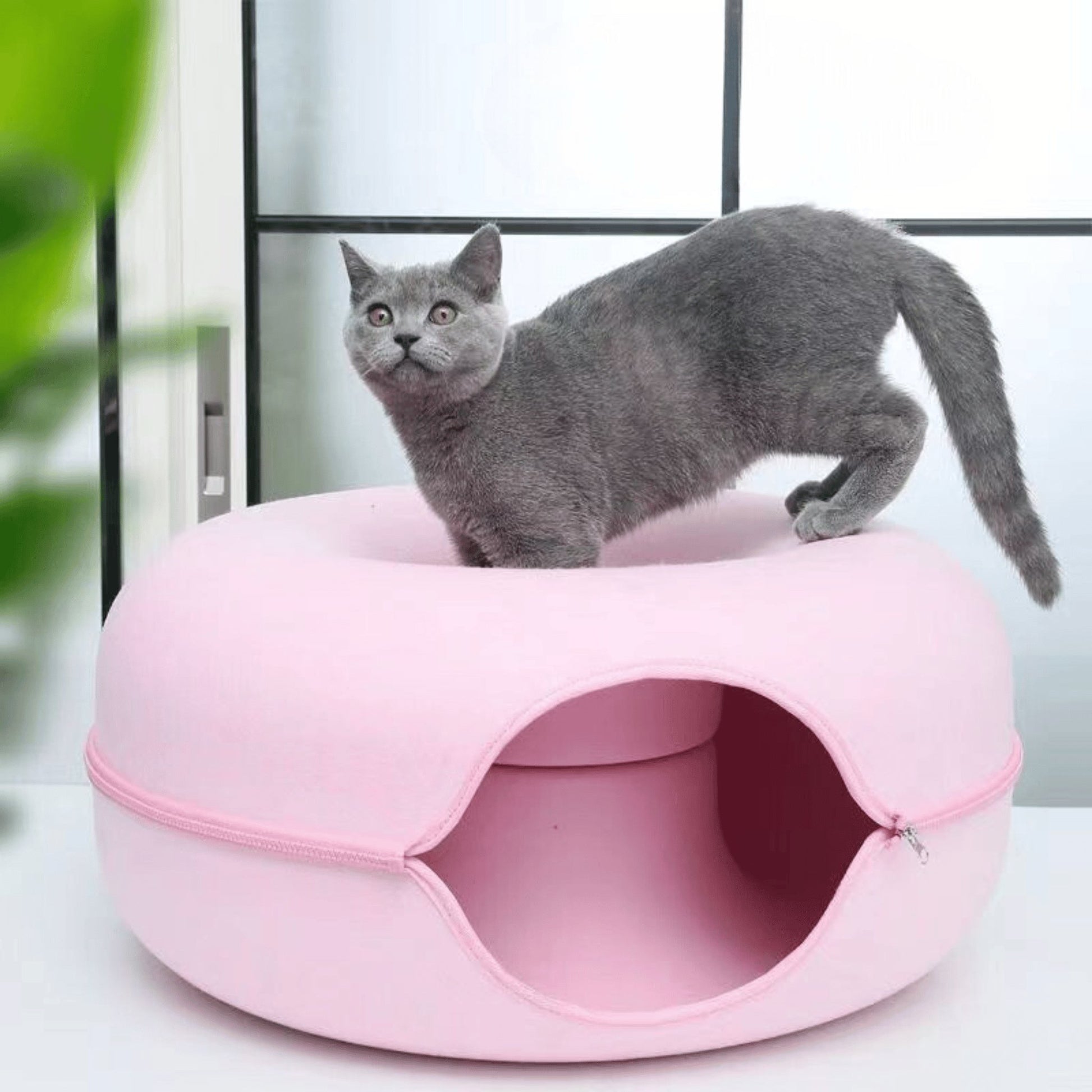 Doughnut Tunnel Cat Cave - catati - nz - cat - products - online