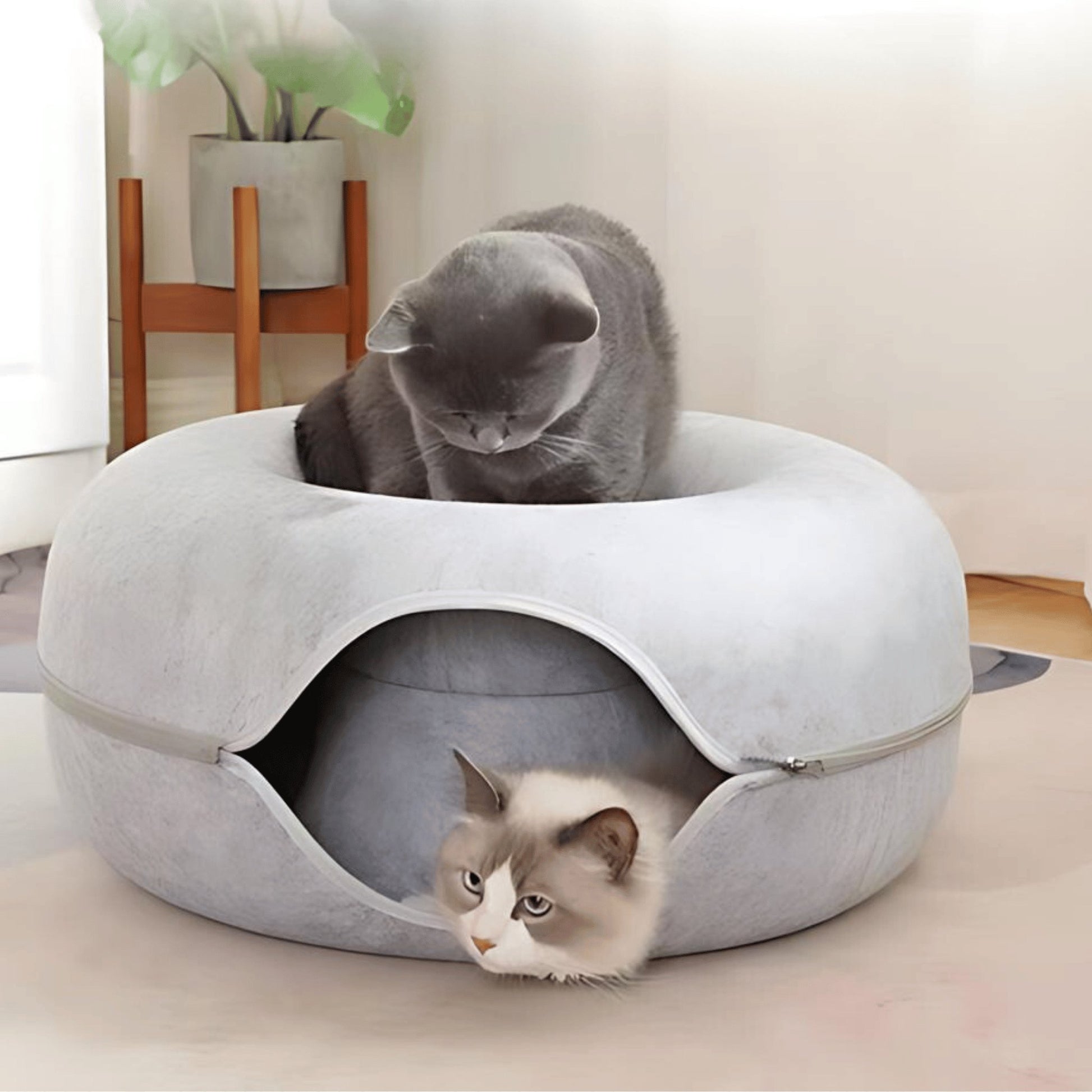 Doughnut Tunnel Cat Cave - catati - nz - cat - products - online