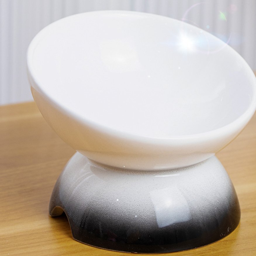 Ergonomic Tilted Cat Bowl - catati - nz - cat - products - online