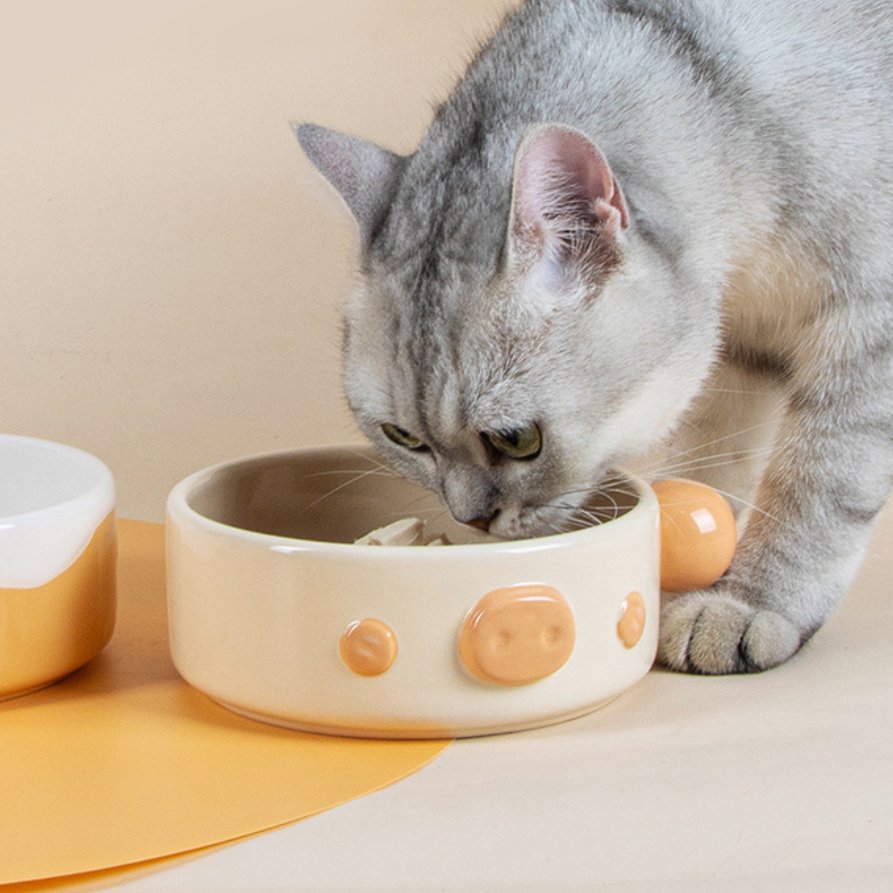 Ergonomic Tilted Cat Bowl - catati - nz - cat - products - online