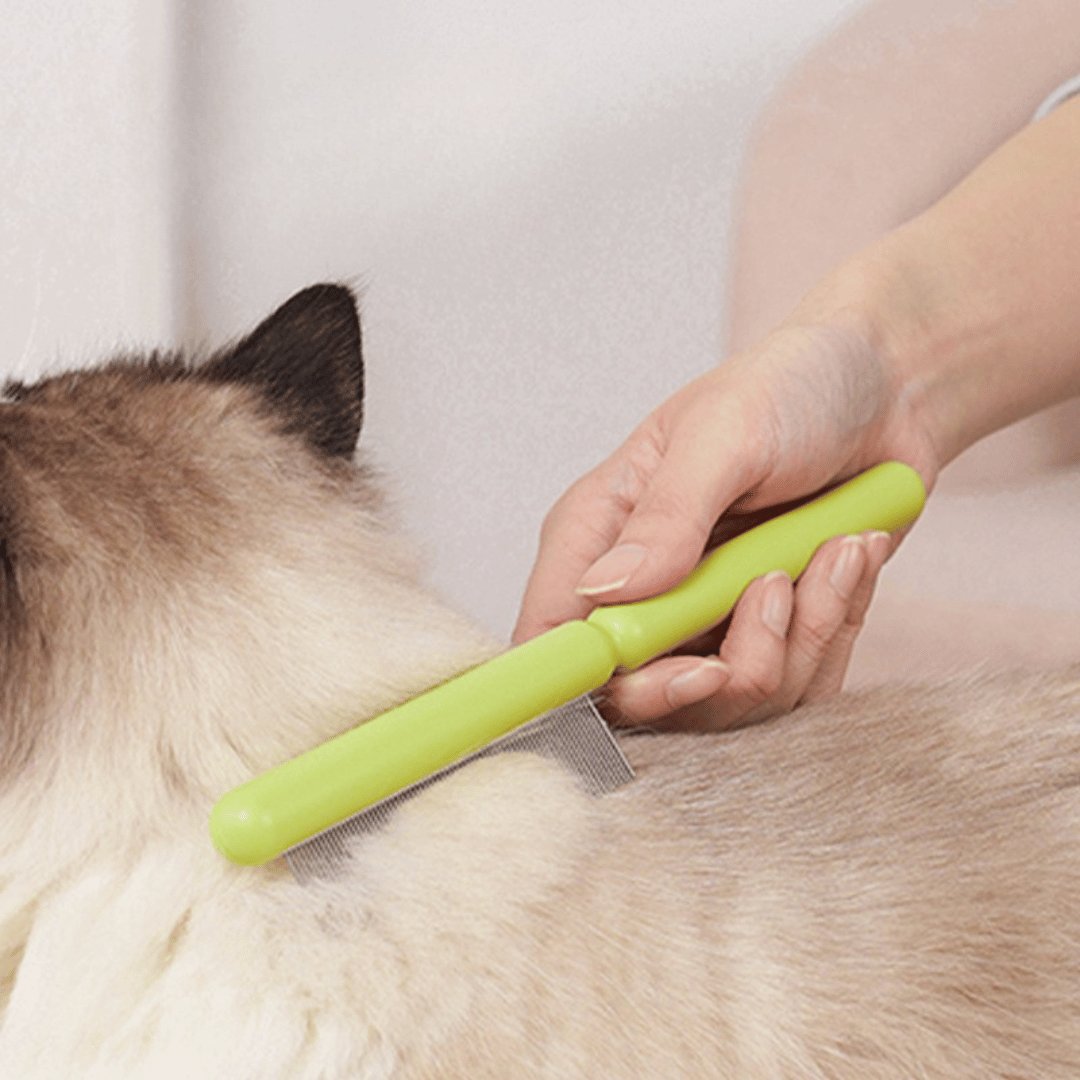 Fine-Tooth Cat Grooming Comb for Shedding by CATATI SELECTED - Green - Grooming - Catati
