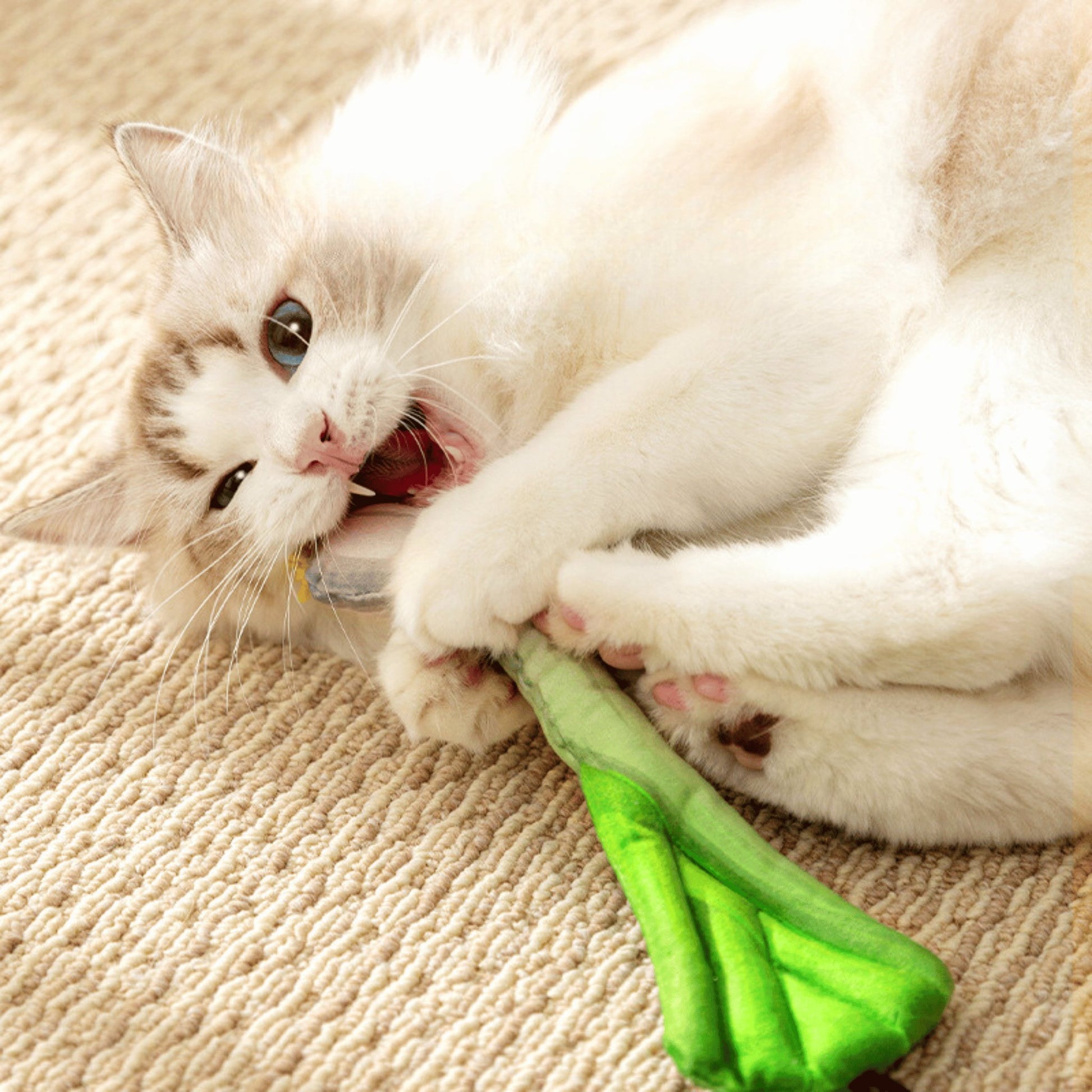 Fish Stir Fry Cat Toy - catati - nz - cat - products - online