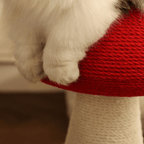 High Red Mushroom Cat Scratching Post – Compact & Cute by CATATI SELECTED - Default Title - Furniture - Catati