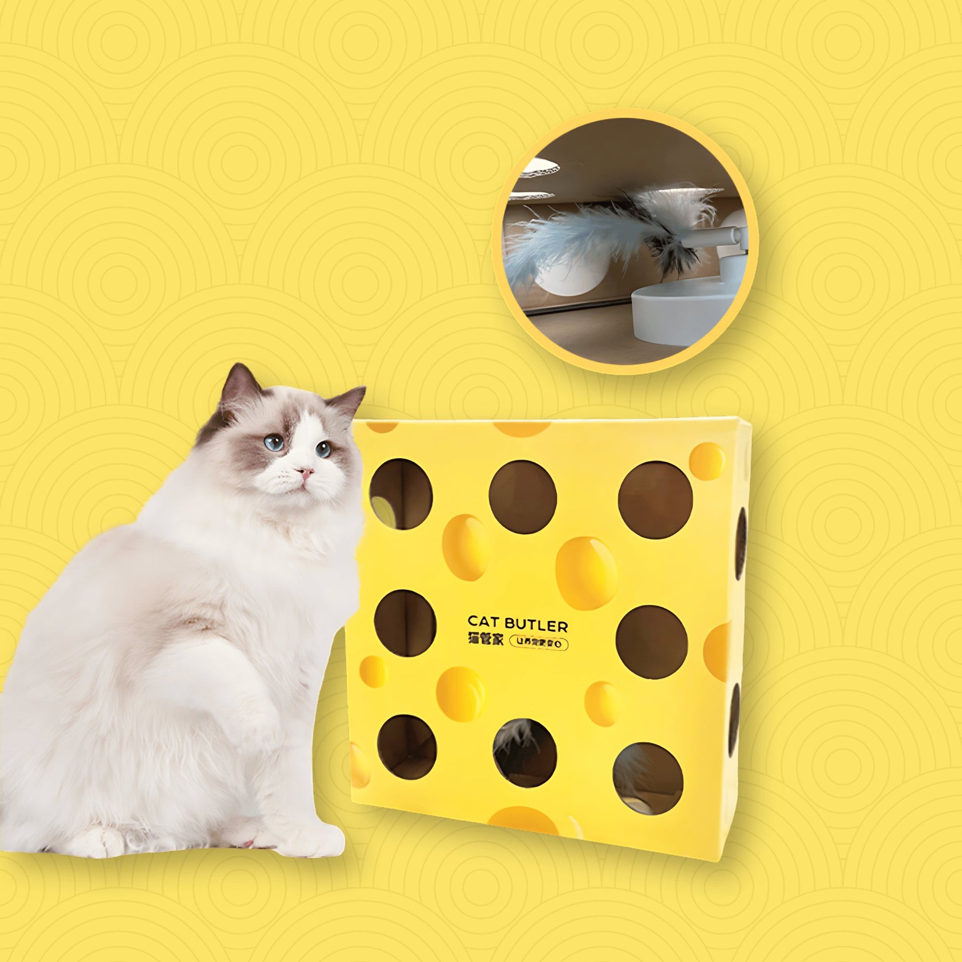 Interactive Cheese Box Cat Toy - catati - nz - cat - products - online