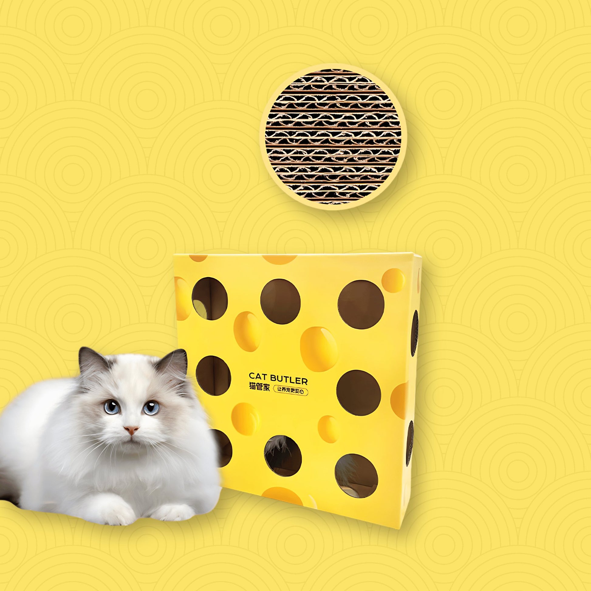 Interactive Cheese Box Cat Toy - catati - nz - cat - products - online