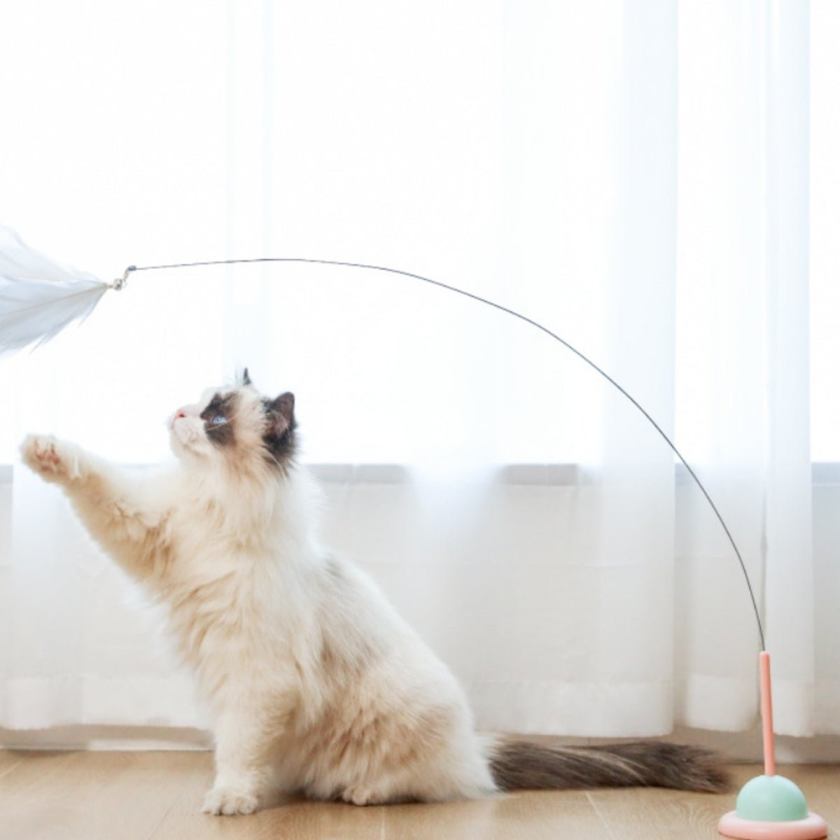 Interactive Feather Teaser with Suction Cup & Replaceable Heads - catati - nz - cat - products - online