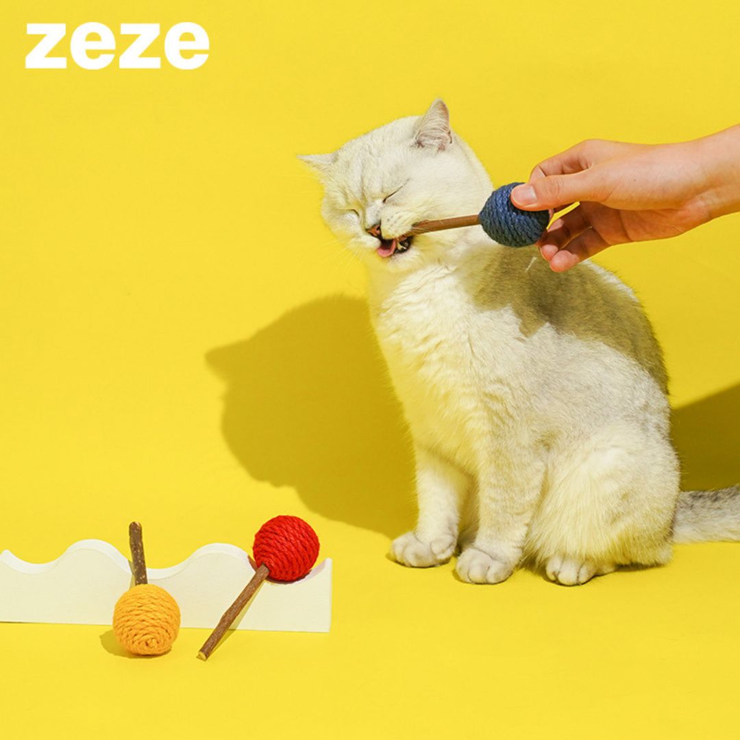 Lollipop Dental Cat Chew Toy by ZEZE - Red - Toy - Catati